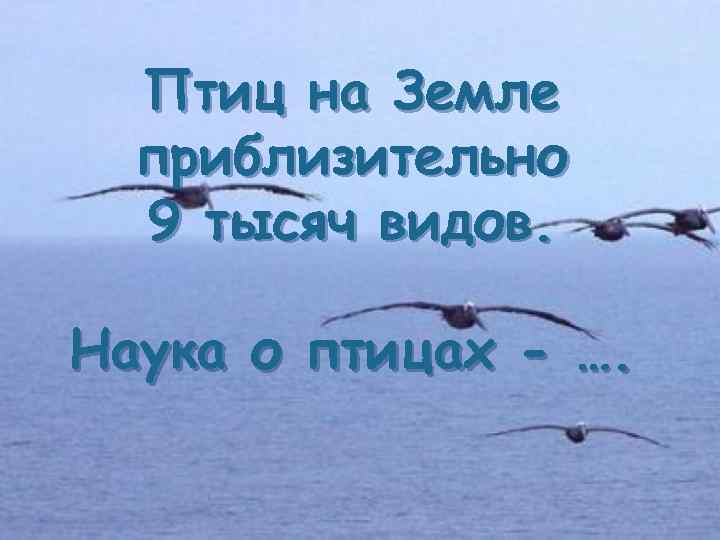 Птиц на Земле приблизительно 9 тысяч видов. Наука о птицах - …. 