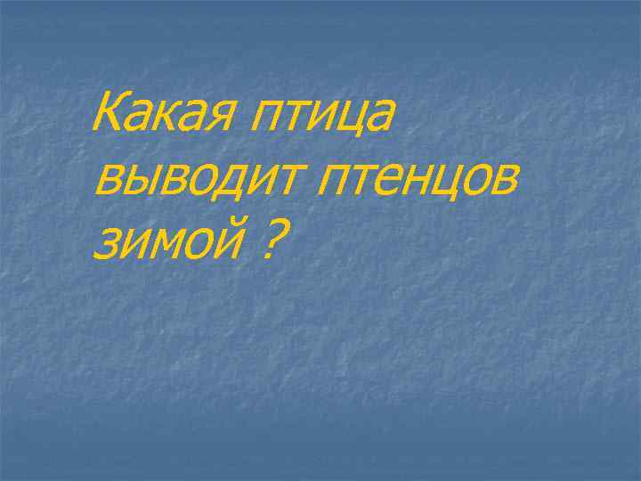 Какая птица выводит птенцов зимой ? 