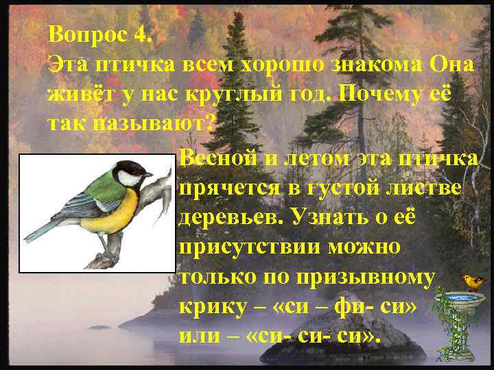 Вопрос 4. Эта птичка всем хорошо знакома Она живёт у нас круглый год. Почему