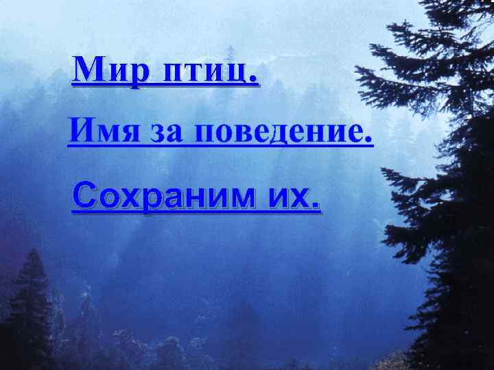 Мир птиц. Имя за поведение. Сохраним их. 