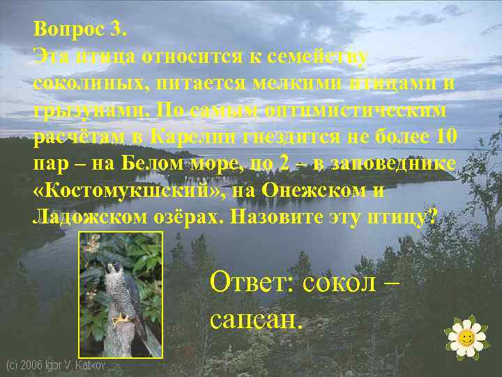 Вопрос 3. Эта птица относится к семейству соколиных, питается мелкими птицами и грызунами. По