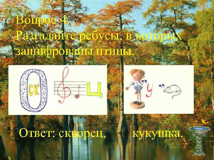 Вопрос 4. Разгадайте ребусы, в которых зашифрованы птицы. Ответ: скворец, кукушка. 