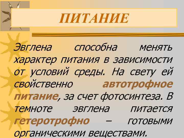 ПИТАНИЕ Эвглена способна менять характер питания в зависимости от условий среды. На свету ей