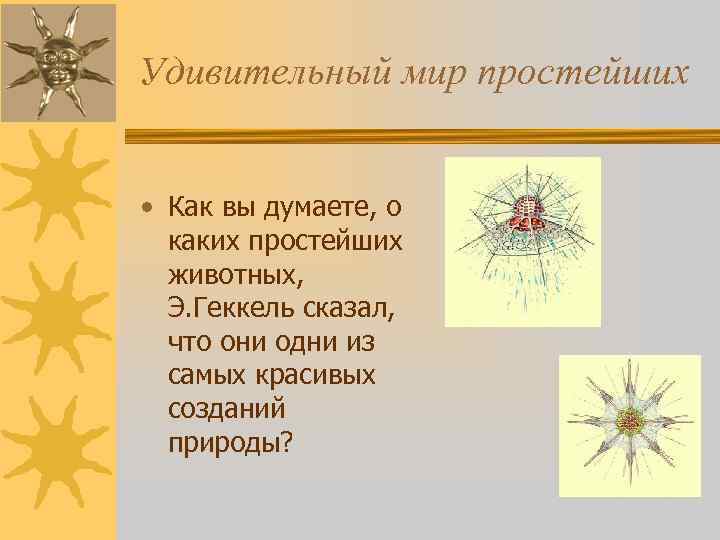 Удивительный мир простейших • Как вы думаете, о каких простейших животных, Э. Геккель сказал,