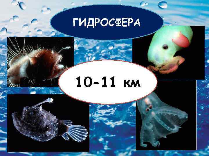 ГИДРОСФЕРА 10 -11 км 