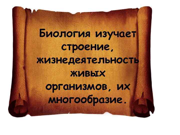 Биология изучает строение, жизнедеятельность живых организмов, их многообразие. 