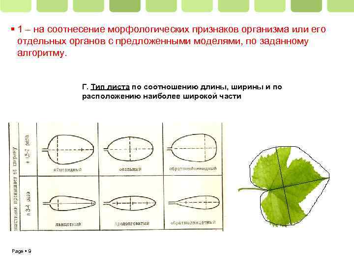  1 – на соотнесение морфологических признаков организма или его отдельных органов с предложенными