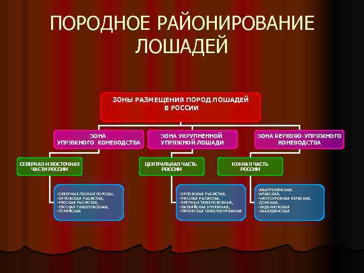 ПОРОДНОЕ РАЙОНИРОВАНИЕ ЛОШАДЕЙ ЗОНЫ РАЗМЕЩЕНИЯ ПОРОД ЛОШАДЕЙ В РОССИИ ЗОНА УПРЯЖНОГО КОНЕВОДСТВА СЕВЕРНАЯ И