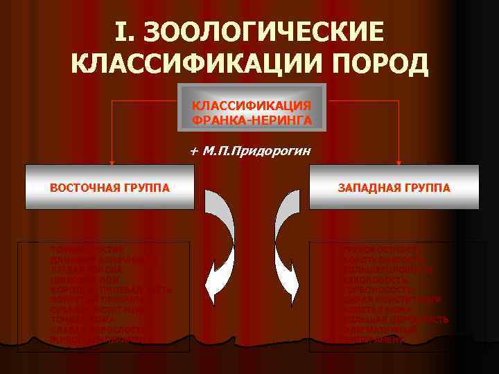 I. ЗООЛОГИЧЕСКИЕ КЛАССИФИКАЦИИ ПОРОД КЛАССИФИКАЦИЯ ФРАНКА-НЕРИНГА + М. П. Придорогин ВОСТОЧНАЯ ГРУППА ЗАПАДНАЯ ГРУППА