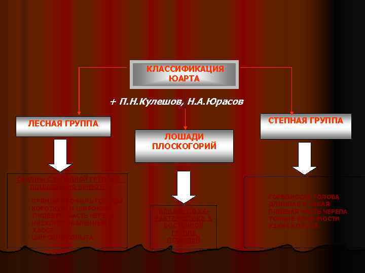 КЛАССИФИКАЦИЯ ЮАРТА + П. Н. Кулешов, Н. А. Юрасов CТЕПНАЯ ГРУППА ЛЕСНАЯ ГРУППА ЛОШАДИ