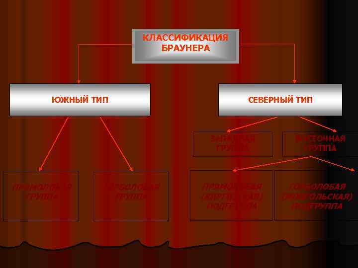 КЛАССИФИКАЦИЯ БРАУНЕРА ЮЖНЫЙ ТИП СЕВЕРНЫЙ ТИП ЗАПАДНАЯ ГРУППА ПРЯМОЛОБАЯ ГРУППА ГОРБОЛОБАЯ ГРУППА ПРЯМОЛОБАЯ (КИРГИЗСКАЯ)