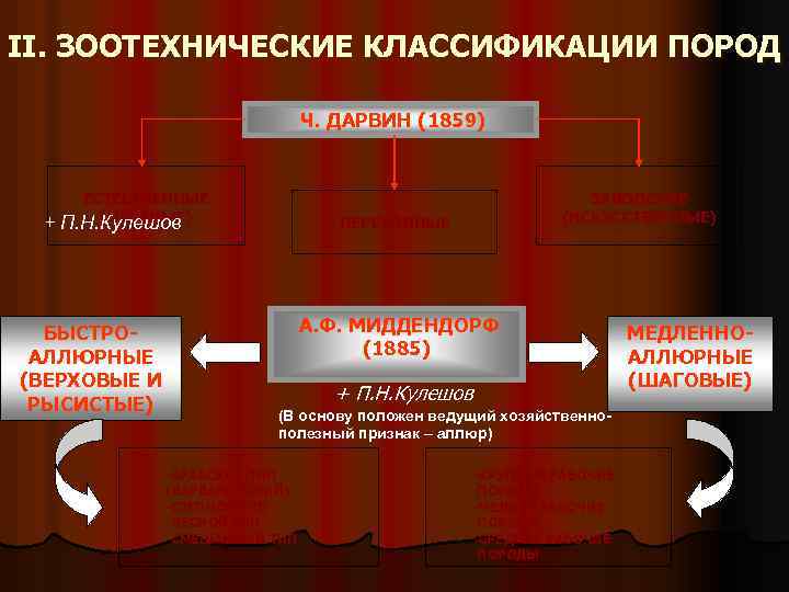 II. ЗООТЕХНИЧЕСКИЕ КЛАССИФИКАЦИИ ПОРОД Ч. ДАРВИН (1859) + ЕСТЕСТВЕННЫЕ (МЕСТНЫЕ) П. Н. Кулешов БЫСТРОАЛЛЮРНЫЕ