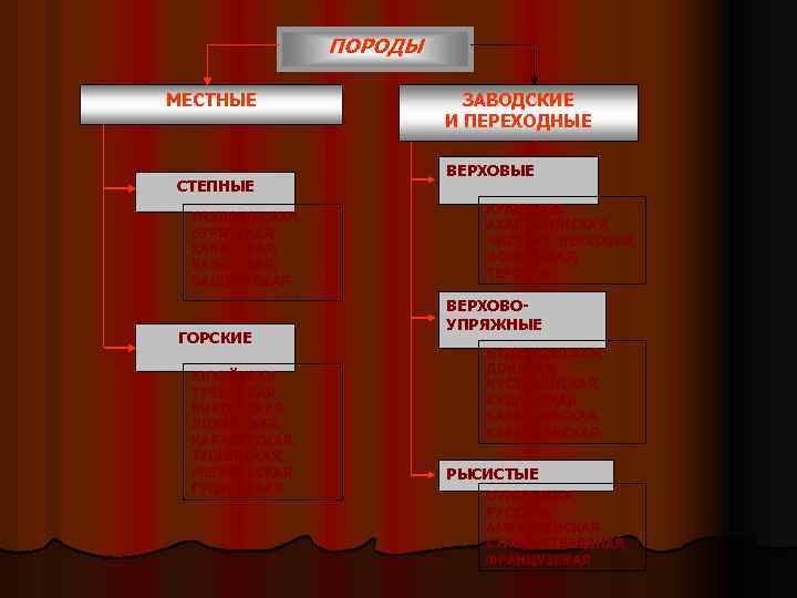 ПОРОДЫ МЕСТНЫЕ СТЕПНЫЕ МОНГОЛЬСКАЯ, БУРЯТСКАЯ, ХАКАССКАЯ, КАЗАХСКАЯ, БАШКИРСКАЯ ГОРСКИЕ АЛТАЙСКАЯ, ТУВИНСКАЯ, КИРГИЗСКАЯ, ЛОКАЙСКАЯ, КАРАБАХСКАЯ,