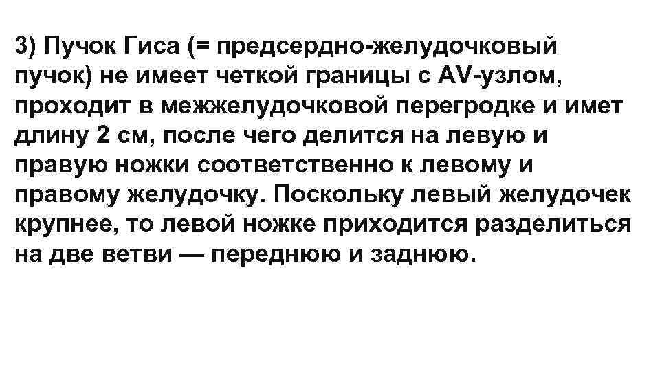 3) Пучок Гиса (= предсердно-желудочковый пучок) не имеет четкой границы с AV-узлом, проходит в