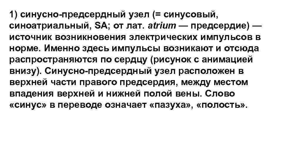 1) синусно-предсердный узел (= синусовый, синоатриальный, SA; от лат. atrium — предсердие) — источник