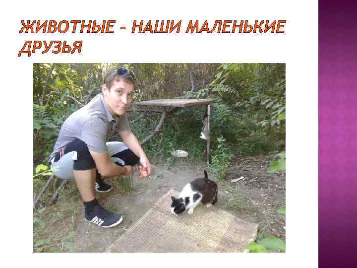 ЖИВОТНЫЕ - НАШИ МАЛЕНЬКИЕ ДРУЗЬЯ 