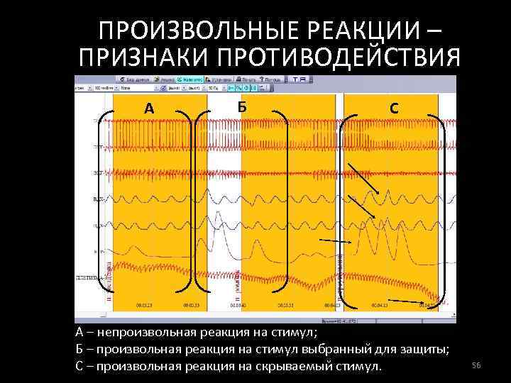 ПРОИЗВОЛЬНЫЕ РЕАКЦИИ – ПРИЗНАКИ ПРОТИВОДЕЙСТВИЯ А Б С А – непроизвольная реакция на стимул;