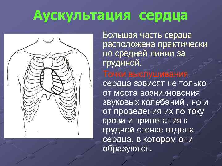 Аускультация сердца Большая часть сердца расположена практически по средней линии за грудиной. Точки выслушивания