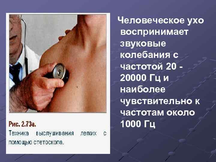 Человеческое ухо воспринимает звуковые колебания с частотой 20 20000 Гц и наиболее чувствительно к