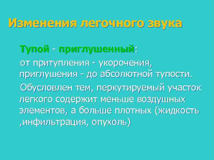 Изменения легочного звука Тупой - приглушенный: от притупления - укорочения, приглушения - до абсолютной