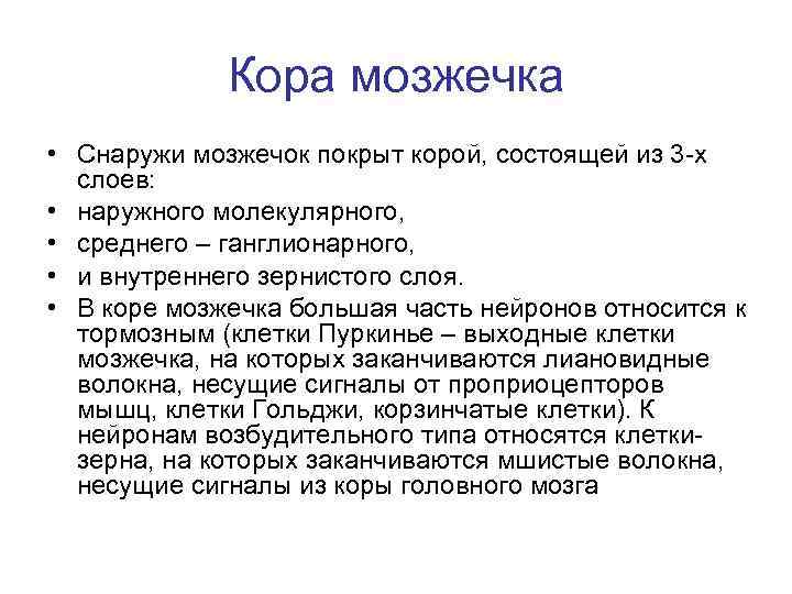 Кора мозжечка • Снаружи мозжечок покрыт корой, состоящей из 3 -х слоев: • наружного