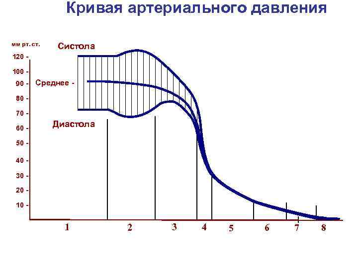 Кривая артериального давления мм рт. ст. Систола 120 100 90 - Среднее - 80