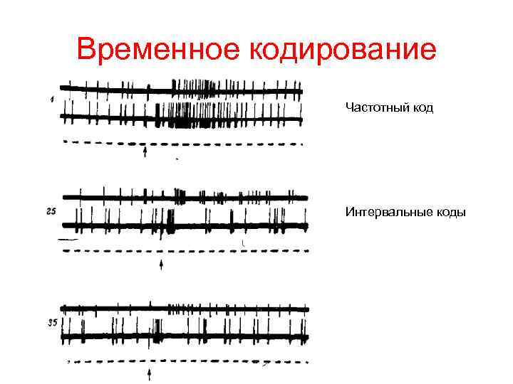 Временное кодирование Частотный код Интервальные коды 