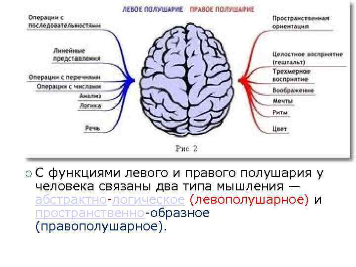  С функциями левого и правого полушария у человека связаны два типа мышления —