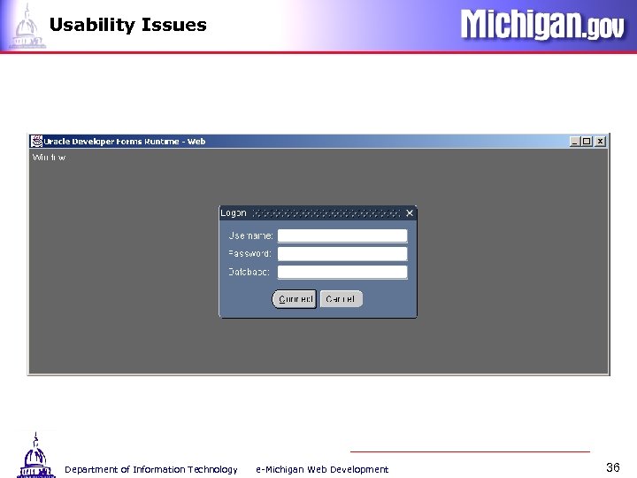 Usability Issues Department of Information Technology e-Michigan Web Development 36 