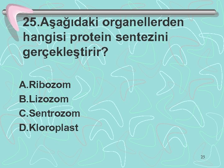 25. Aşağıdaki organellerden hangisi protein sentezini gerçekleştirir? A. Ribozom B. Lizozom C. Sentrozom D.