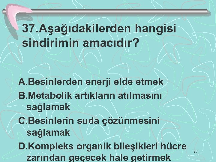 37. Aşağıdakilerden hangisi sindirimin amacıdır? A. Besinlerden enerji elde etmek B. Metabolik artıkların atılmasını