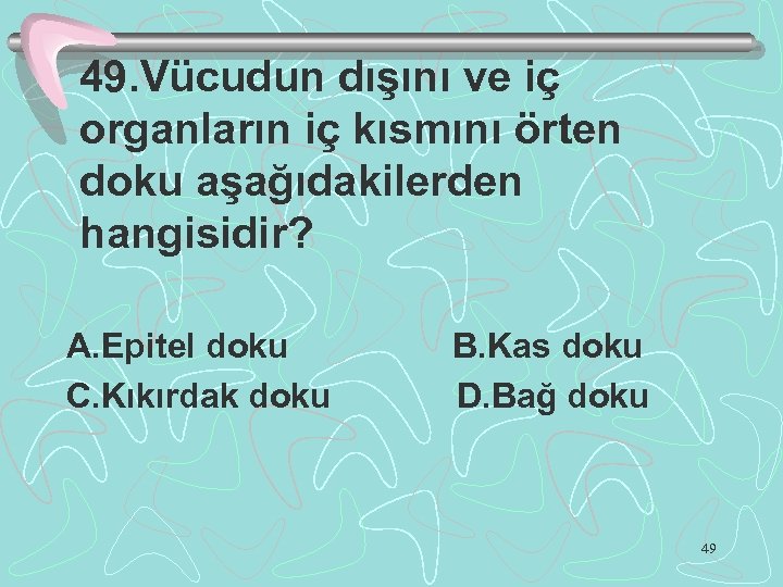 49. Vücudun dışını ve iç organların iç kısmını örten doku aşağıdakilerden hangisidir? A. Epitel