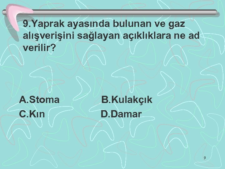 9. Yaprak ayasında bulunan ve gaz alışverişini sağlayan açıklıklara ne ad verilir? A. Stoma