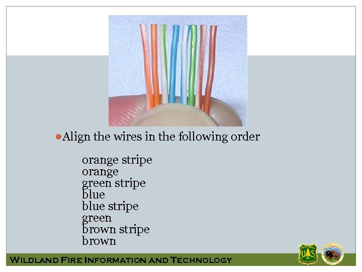 ●Align the wires in the following order orange stripe orange green stripe blue stripe