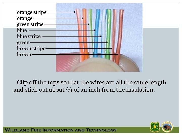 orange stripe orange green stripe blue stripe green brown stripe brown Clip off the