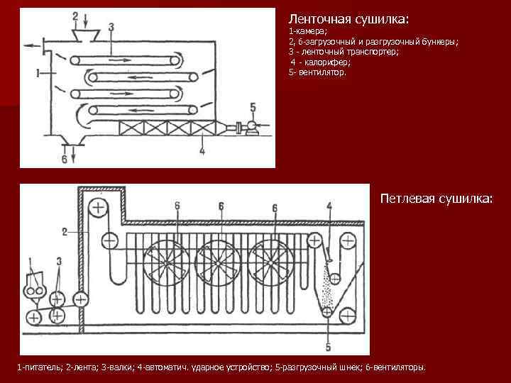 Ленточная сушилка: 1 камера; 2, 6 загрузочный и разгрузочный бункеры; 3 ленточный транспортер; 4