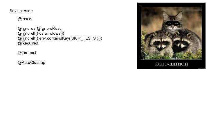 Заключение @Issue @Ignore / @Ignore. Rest @Ignore. If({ os. windows }) @Ignore. If({ env.
