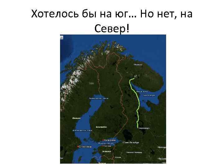 Хотелось бы на юг… Но нет, на Север! 