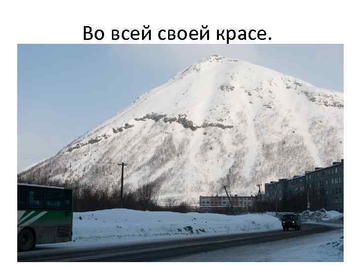 Во всей своей красе. 