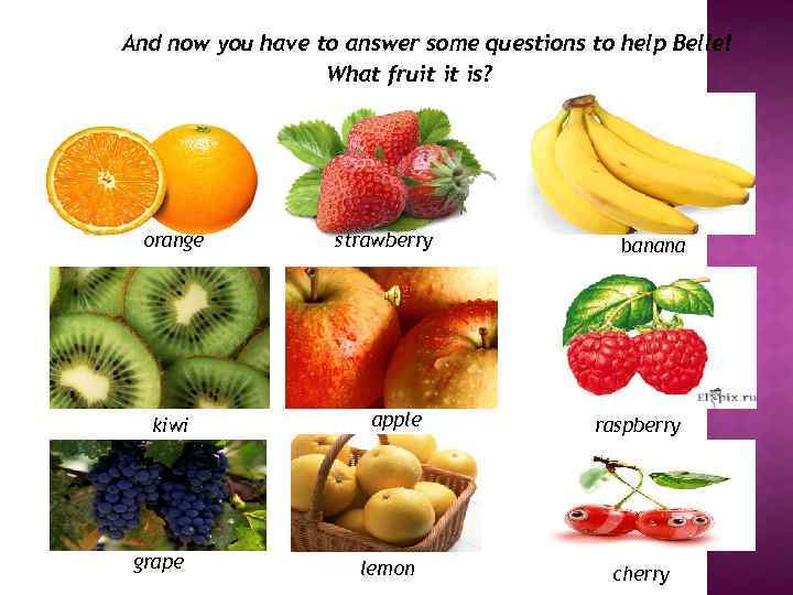 And now you have to answer some questions to help Belle! What fruit it