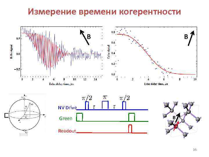 Измерение времени когерентности B B NV Drive Green B Readout 36 