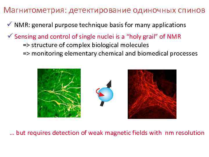 Магнитометрия: детектирование одиночных спинов ü NMR: general purpose technique basis for many applications ü