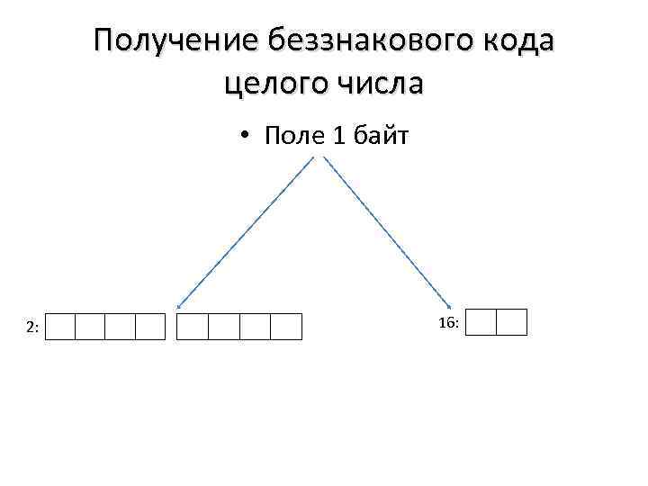 Получение беззнакового кода целого числа • Поле 1 байт 2: 16: 