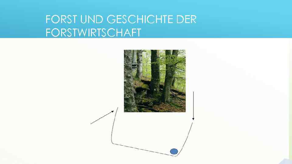 FORST UND GESCHICHTE DER FORSTWIRTSCHAFT 