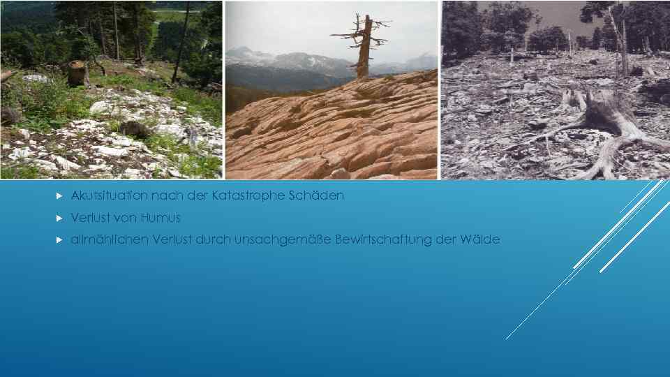  Akutsituation nach der Katastrophe Schäden Verlust von Humus allmählichen Verlust durch unsachgemäße Bewirtschaftung