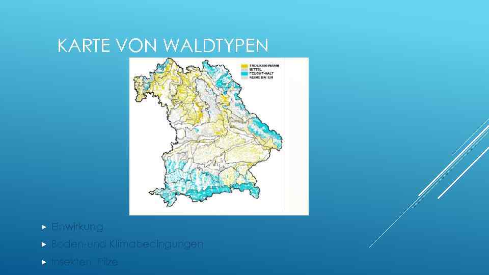 KARTE VON WALDTYPEN Einwirkung Boden-und Klimabedingungen Insekten, Pilze 
