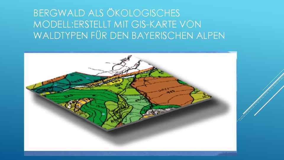 BERGWALD ALS ÖKOLOGISCHES MODELL: ERSTELLT MIT GIS-KARTE VON WALDTYPEN FÜR DEN BAYERISCHEN ALPEN 