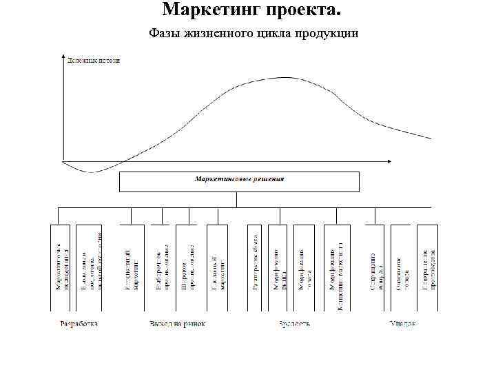 Маркетинг проекта. Фазы жизненного цикла продукции 