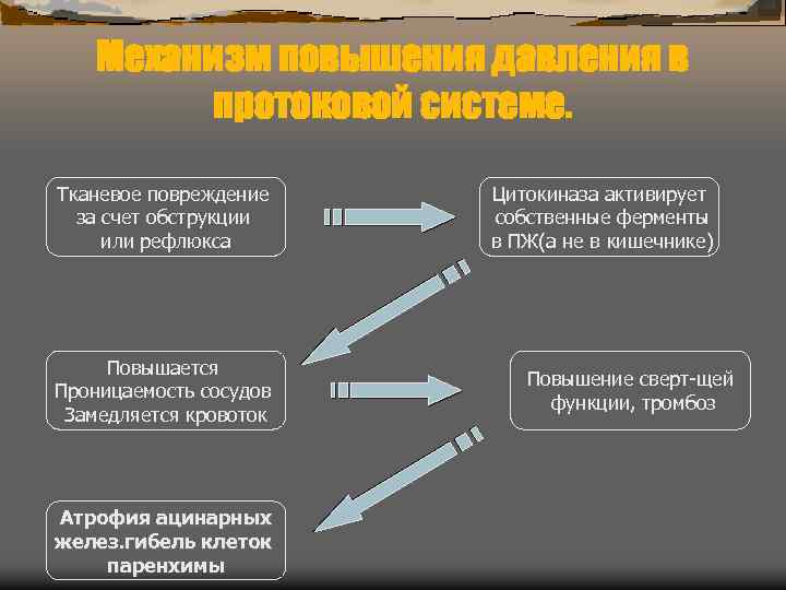 Механизм повышения давления в протоковой системе. Тканевое повреждение за счет обструкции или рефлюкса Повышается