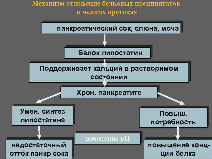 Механизм отложение белковых преципитатов в мелких протоках панкреатический сок, слюна, моча Белок липостатин Поддерживает